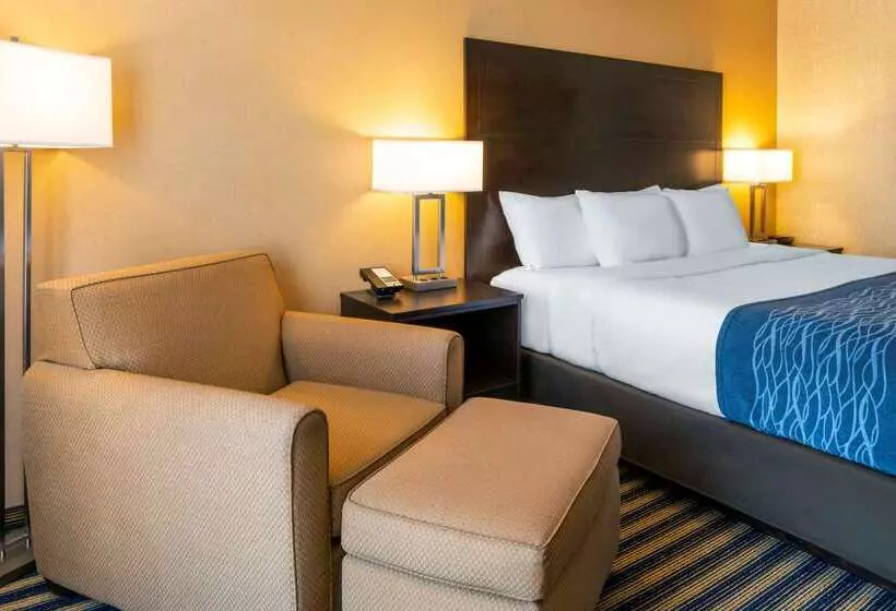 Отель Comfort Inn