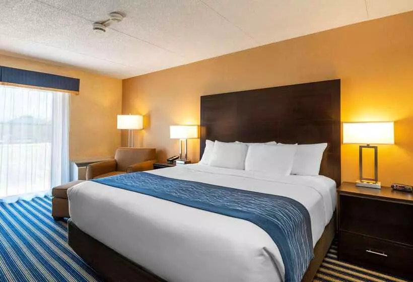 Отель Comfort Inn