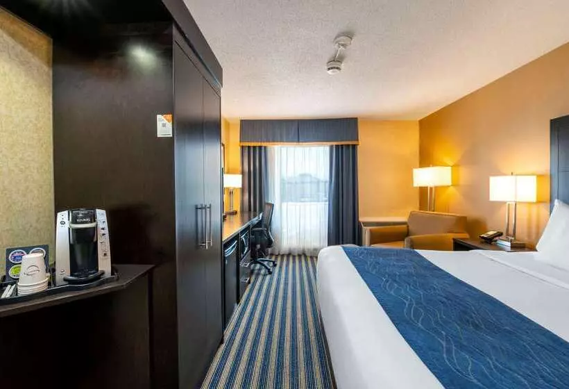 Отель Comfort Inn