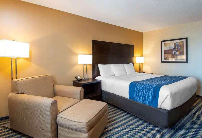 ホテル Comfort Inn