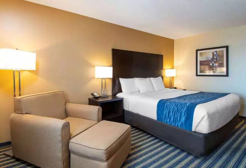 Отель Comfort Inn