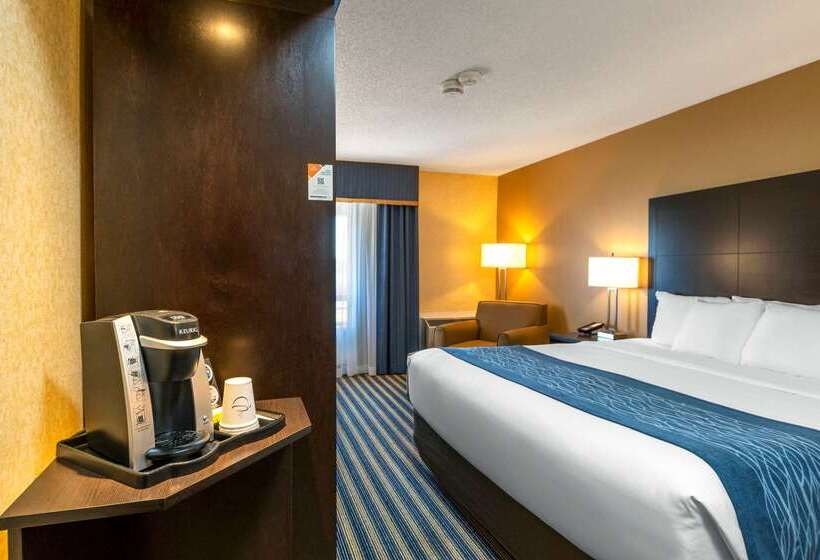 ホテル Comfort Inn