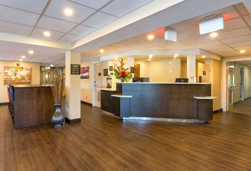 ホテル Comfort Inn