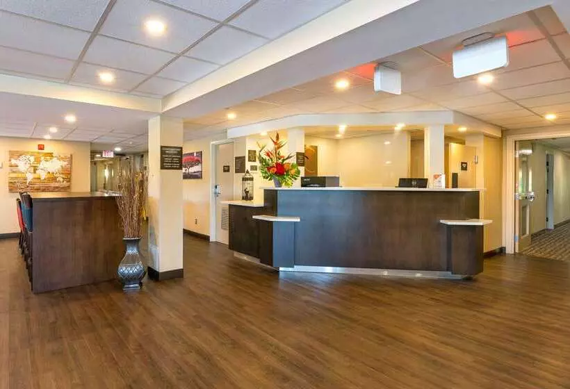 Отель Comfort Inn