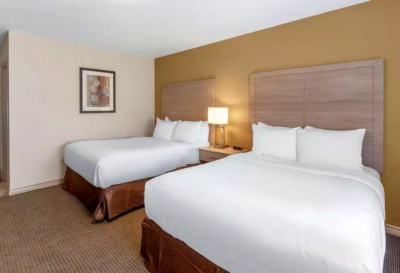 호텔 Comfort Inn & Suites Thousand Islands Harbour District