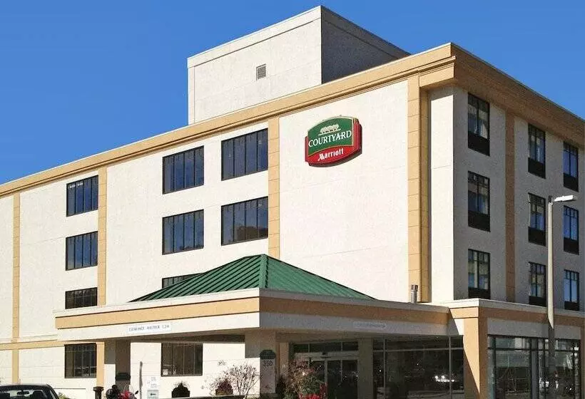 בית מלון כפרי Courtyard By Marriott Ottawa Downtown