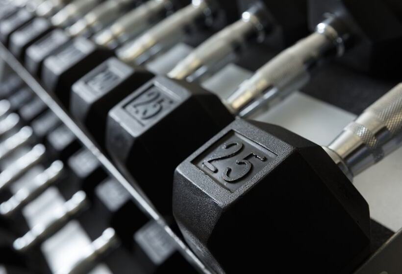 هتل Holiday Inn Express Quebec City Sainte Foy, An Ihg