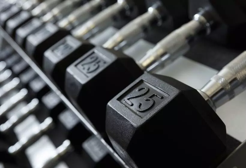 Hotel Holiday Inn Express Quebec City Sainte Foy, An Ihg