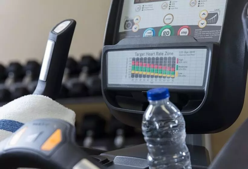 Hotel Holiday Inn Express Quebec City Sainte Foy, An Ihg