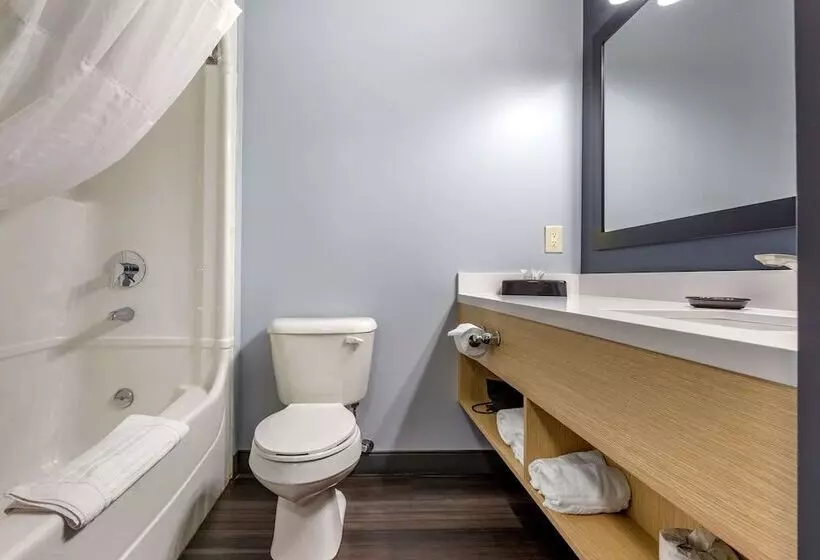 Отель Quality Inn & Suites