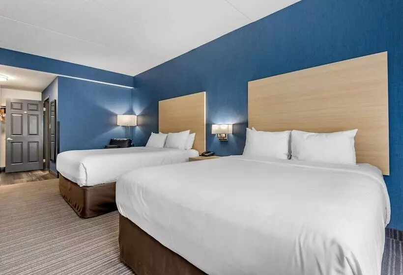 Отель Quality Inn & Suites