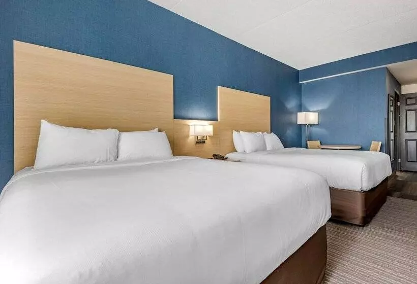 Отель Quality Inn & Suites