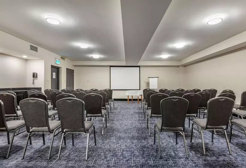 Отель Quality Inn & Suites