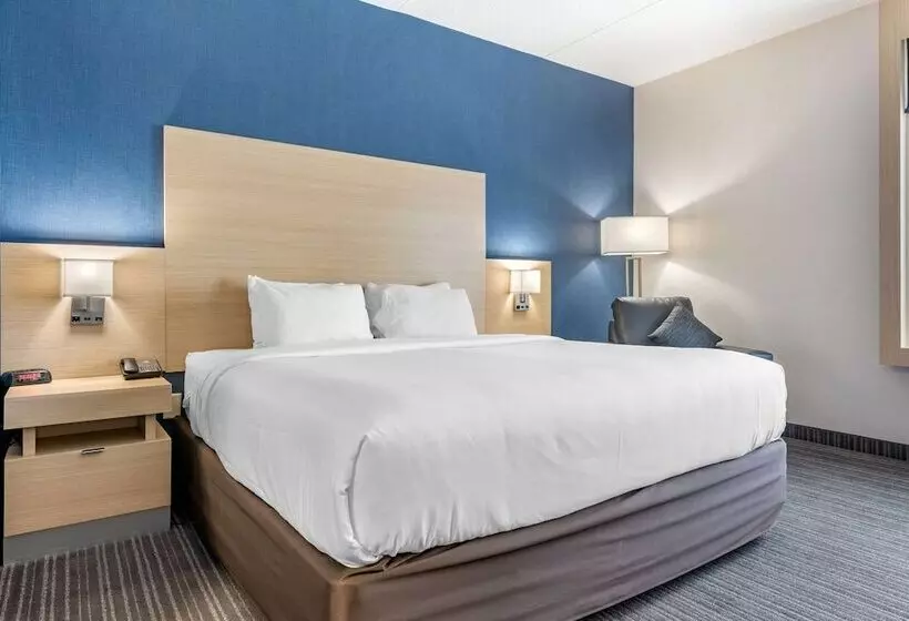 Отель Quality Inn & Suites