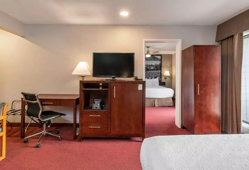 Отель Quality Inn & Suites