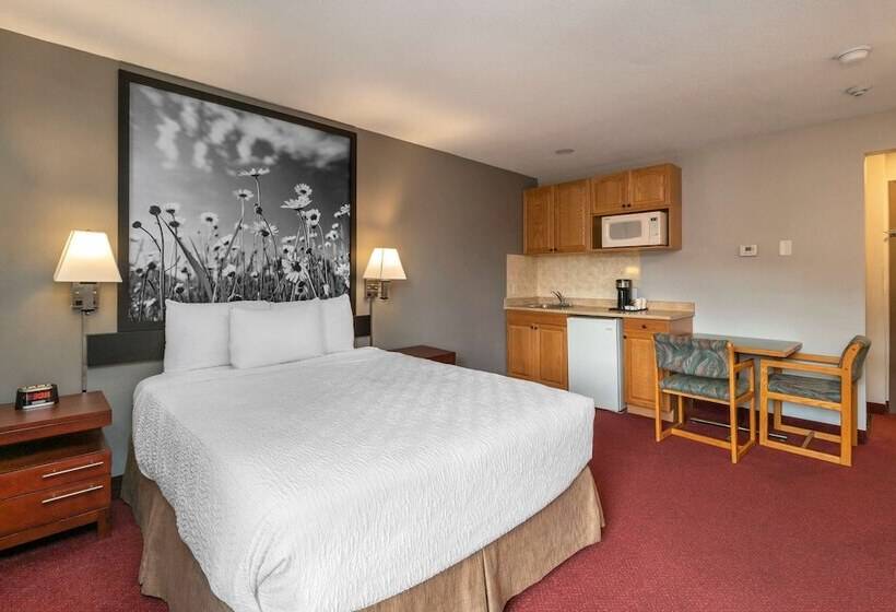 Szálloda Quality Inn & Suites