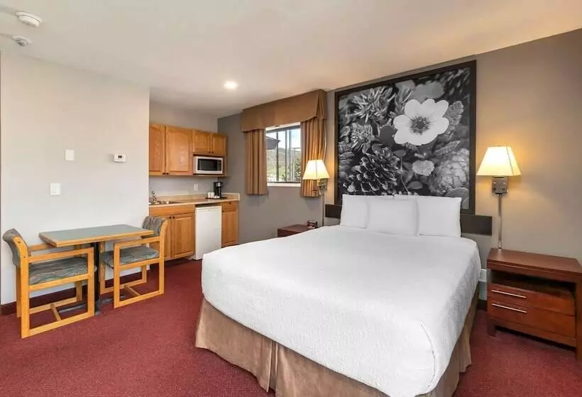 Отель Quality Inn & Suites