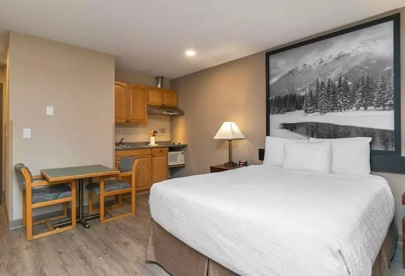 Отель Quality Inn & Suites