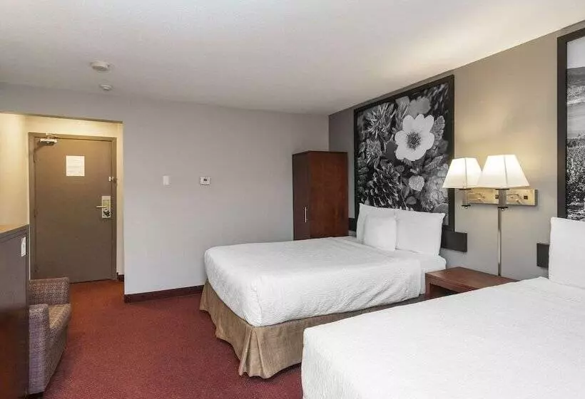 Отель Quality Inn & Suites