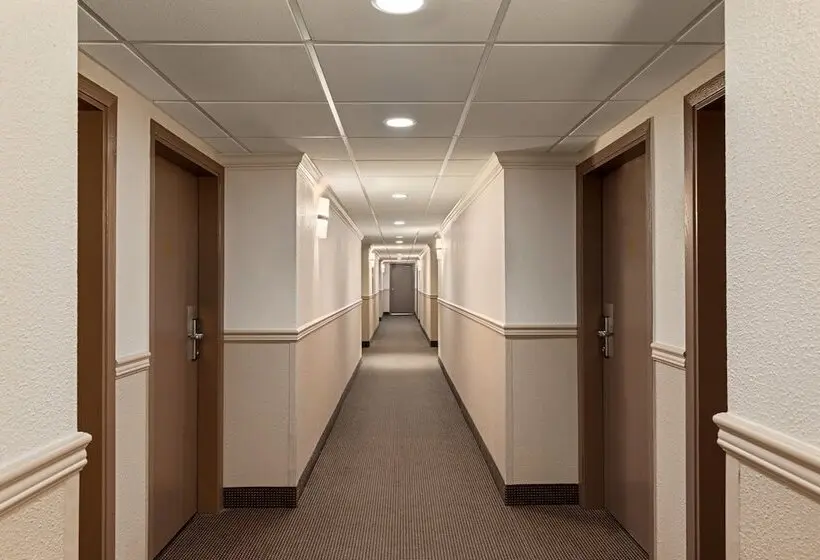 ホテル Quality Inn & Suites
