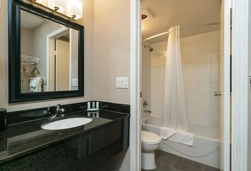 ホテル Quality Inn & Suites
