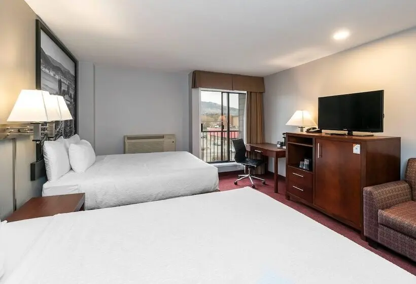 ホテル Quality Inn & Suites