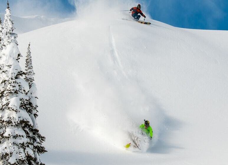 مُتل Monashee Lodge