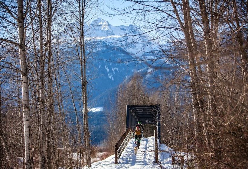 مُتل Monashee Lodge