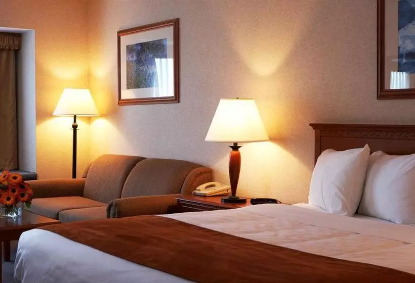 酒店 Comfort Inn & Suites Victoria
