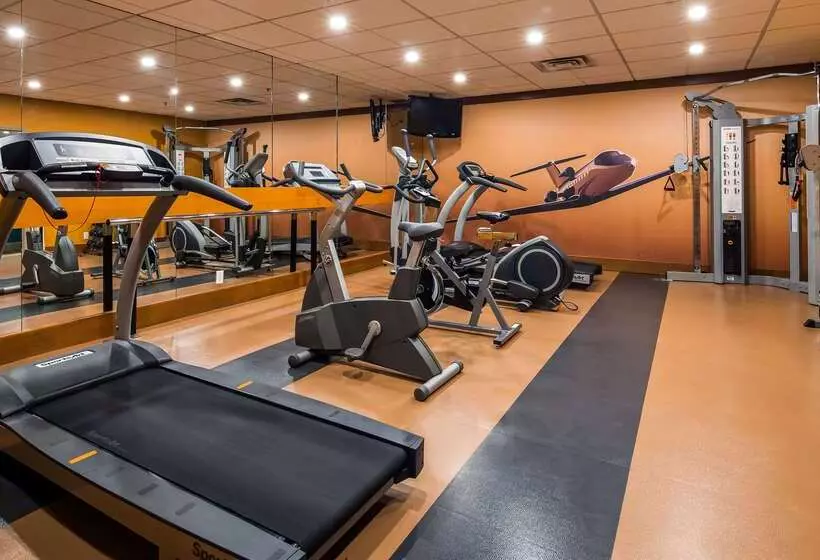 בית מלון כפרי Best Western Premier Toronto Airport Carlingview