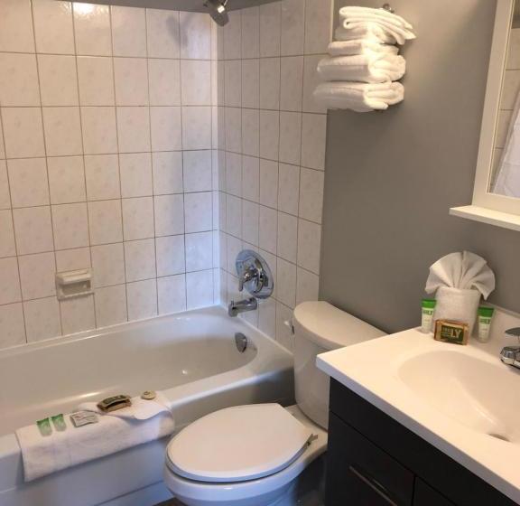 هتل London Executive Suites