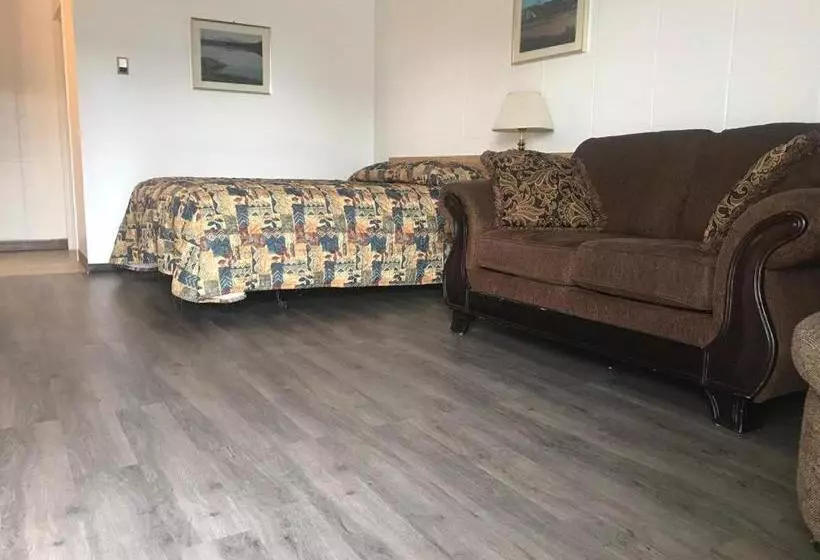 호텔 Raven Motor Inn