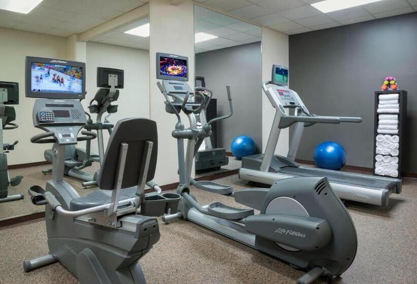 Hotel Residence Inn By Marriott Mont Tremblant Manoir Labelle