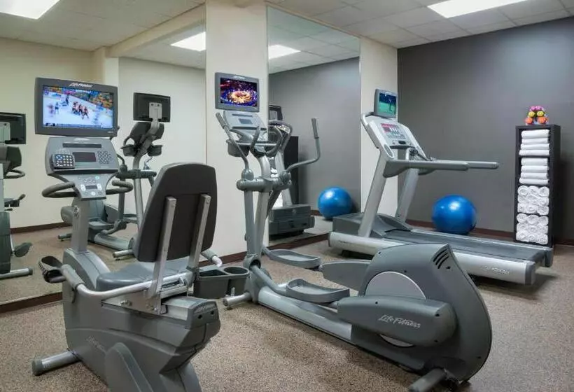 酒店 Residence Inn By Marriott Mont Tremblant Manoir Labelle