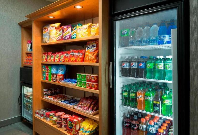 Hotel Residence Inn By Marriott Mont Tremblant Manoir Labelle