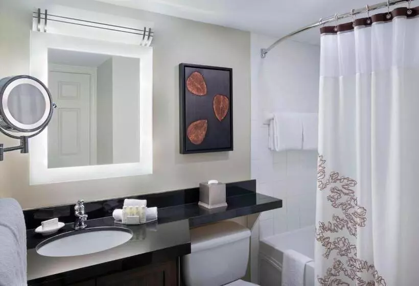 酒店 Residence Inn By Marriott Mont Tremblant Manoir Labelle