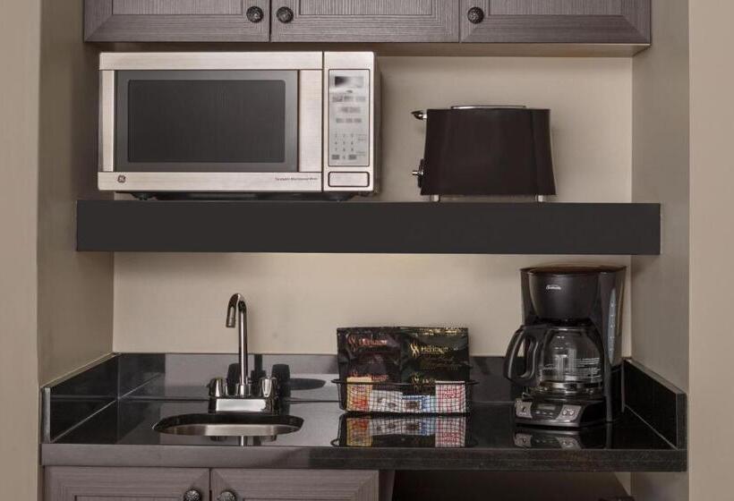 Hotel Residence Inn By Marriott Mont Tremblant Manoir Labelle