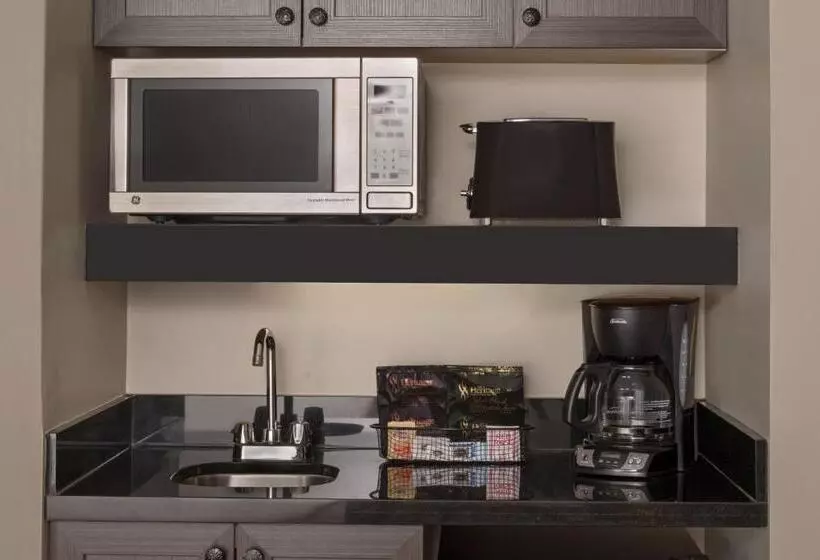 酒店 Residence Inn By Marriott Mont Tremblant Manoir Labelle