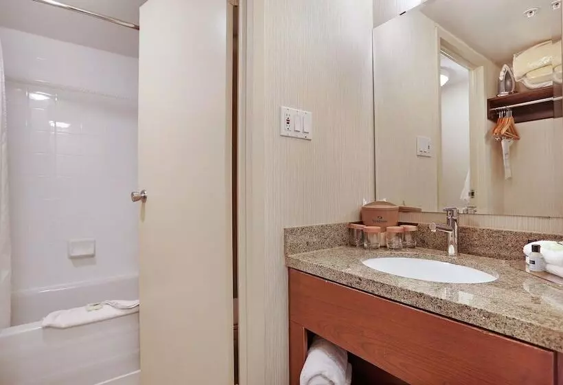 Sandman Hotel Vancouver Downtown