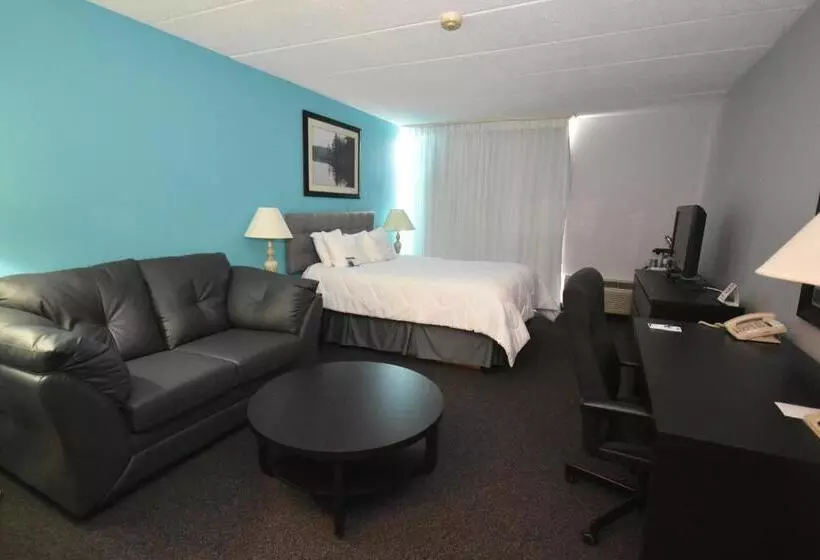 Отель Days Inn By Wyndham Sudbury & Conference Centre