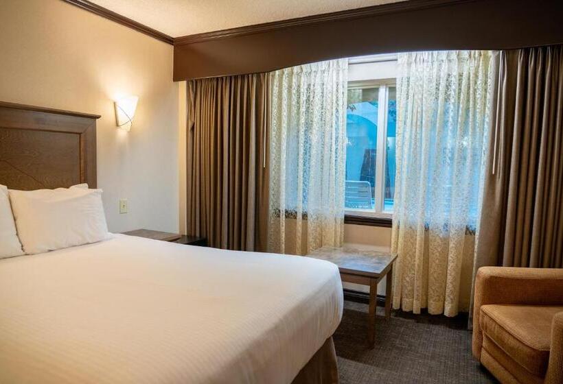 فندق The Rundlestone Lodge