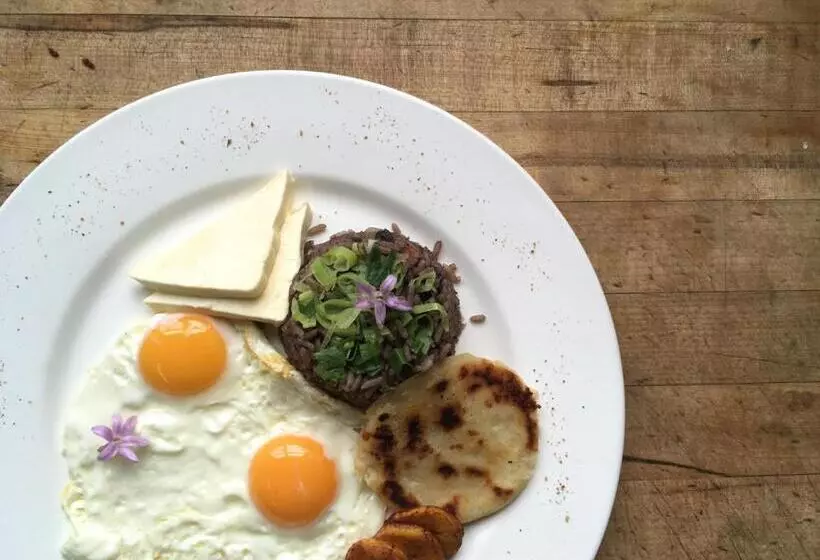 酒店 Alta Las Palomas