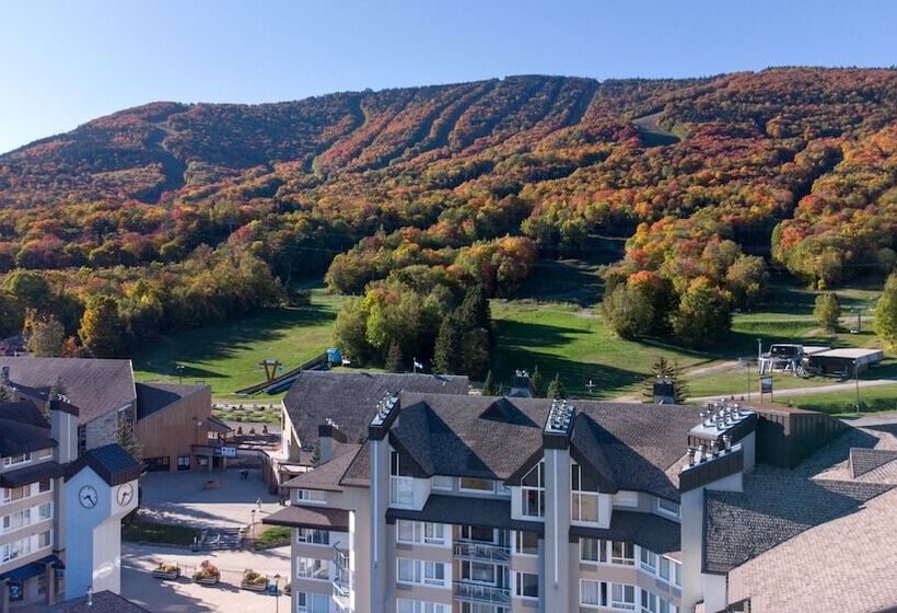 فندق Hebergement Montsteanne Condos