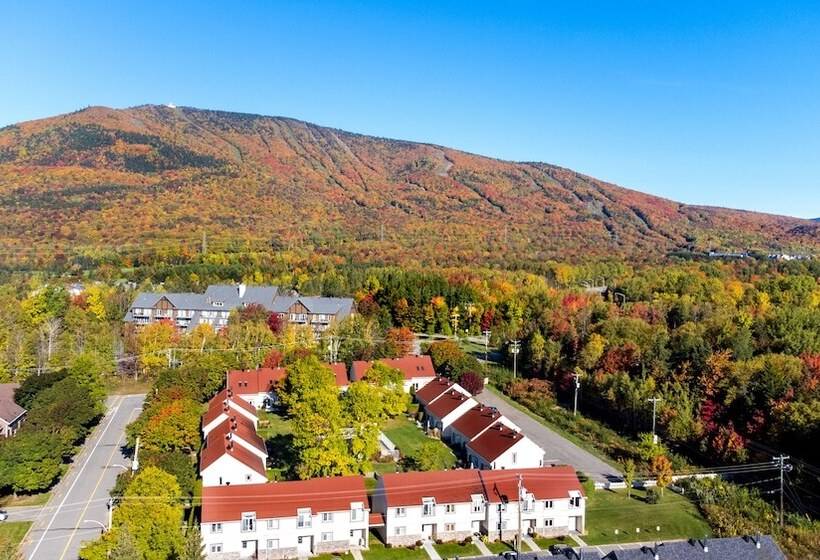 فندق Hebergement Montsteanne Condos