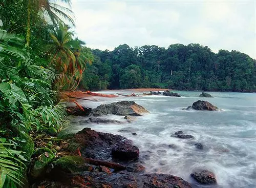 호텔 Playa Chiquita Lodge