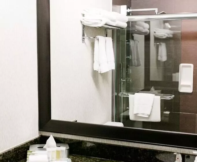 ホテル Victoria Inn Flin Flon