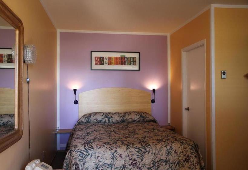 فندق Waterfront Inn