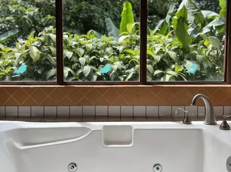 Villa Blanca Cloud Forest Hotel + Retreat