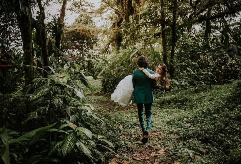 Villa Blanca Cloud Forest Hotel + Retreat