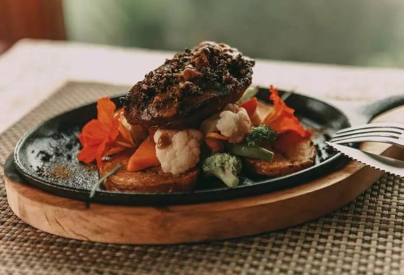 Villa Blanca Cloud Forest Hotel + Retreat